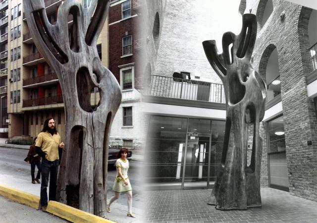 Arbre de la rue Durocher